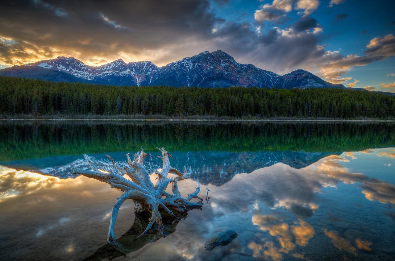 Patricia Lake Bungalows Jasper Eksteriør bilde